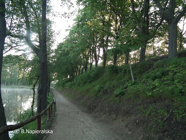 Miedzychód wiosna